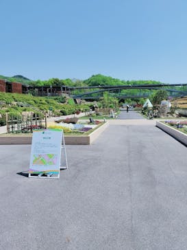 ぎふワールド・ローズガーデンに投稿された画像（2025/4/30）