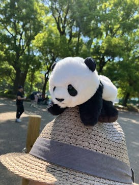 恩賜上野動物園に投稿された画像（2025/4/30）