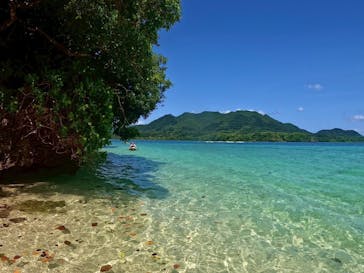 石垣島 ADVENTURE PiPi（イシガキジマアドベンチャーピピ）に投稿された画像（2025/4/30）