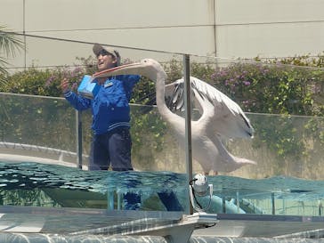 サンシャイン水族館に投稿された画像（2025/4/30）