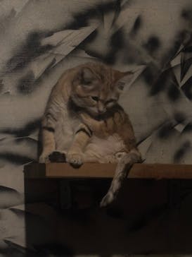 名古屋市東山動植物園に投稿された画像（2025/4/30）