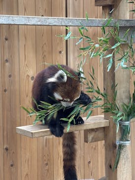 名古屋市東山動植物園に投稿された画像（2025/4/30）