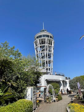 江の島1dayに投稿された画像（2025/4/30）