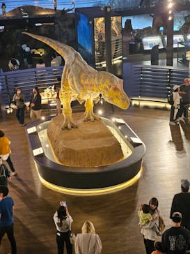 福井県立恐竜博物館に投稿された画像（2025/4/30）