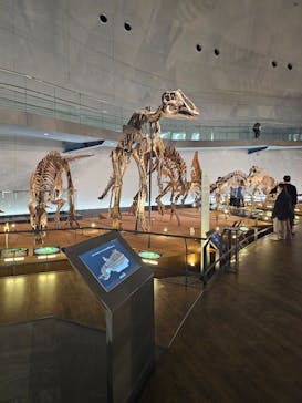 福井県立恐竜博物館に投稿された画像（2025/4/30）