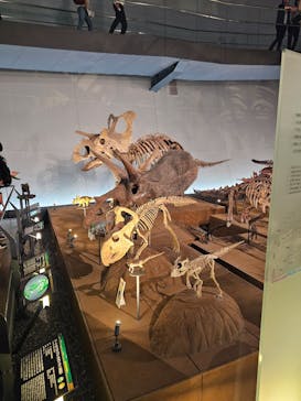 福井県立恐竜博物館に投稿された画像（2025/4/30）