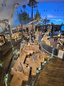福井県立恐竜博物館に投稿された画像（2025/4/30）