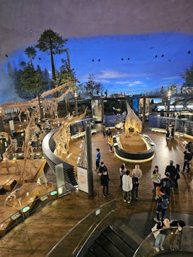 福井県立恐竜博物館に投稿された画像（2025/4/30）