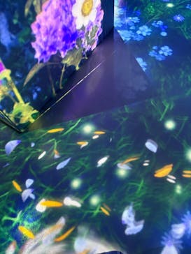 マクセル アクアパーク品川に投稿された画像（2025/4/30）