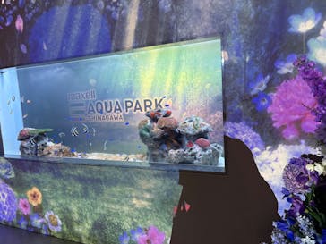 マクセル アクアパーク品川に投稿された画像（2025/4/30）