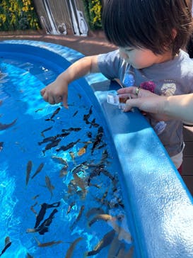 サンシャイン水族館に投稿された画像（2025/4/30）