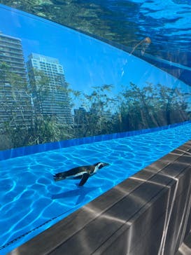 サンシャイン水族館に投稿された画像（2025/4/30）