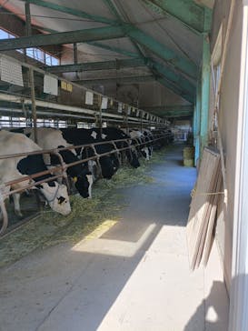 マザー牧場に投稿された画像（2025/4/30）