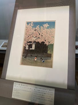 東京国立博物館に投稿された画像（2025/4/30）