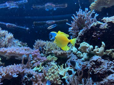 マクセル アクアパーク品川に投稿された画像（2025/4/30）