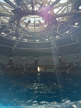 マクセル アクアパーク品川に投稿された画像（2025/4/30）