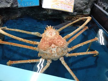 竹島水族館に投稿された画像（2025/4/30）