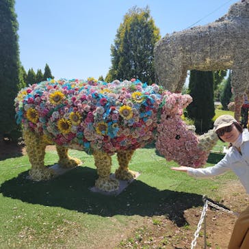 東武動物公園に投稿された画像（2025/4/30）