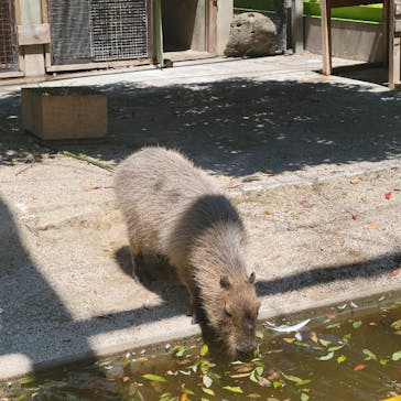 東武動物公園に投稿された画像（2025/4/30）