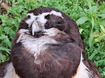 天王寺動物園に投稿された画像（2025/4/30）