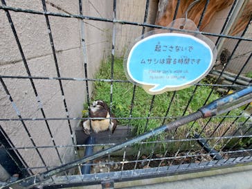 天王寺動物園に投稿された画像（2025/4/30）