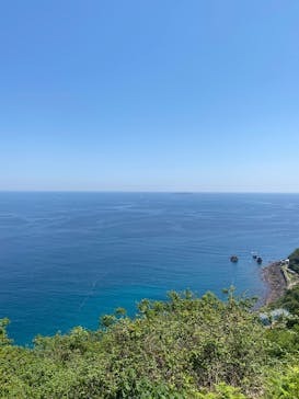 ACAO FORESTに投稿された画像（2025/4/30）