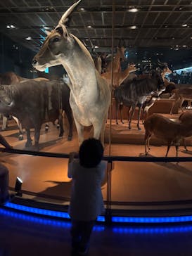 国立科学博物館に投稿された画像（2025/4/30）