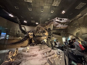 国立科学博物館に投稿された画像（2025/4/30）