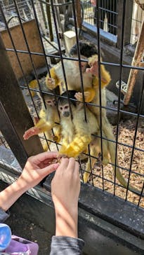 伊豆シャボテン動物公園に投稿された画像（2025/4/30）