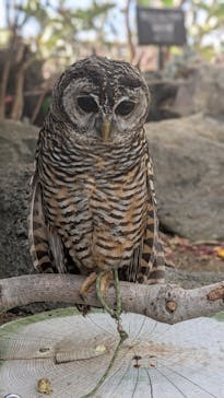 伊豆シャボテン動物公園に投稿された画像（2025/4/30）
