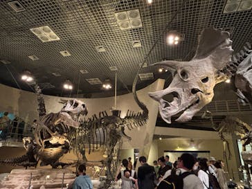 国立科学博物館に投稿された画像（2025/4/30）