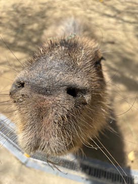 長崎バイオパークに投稿された画像（2025/4/30）