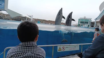 名古屋港水族館に投稿された画像（2025/4/30）