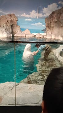 名古屋港水族館に投稿された画像（2025/4/30）
