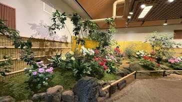 日本庭園　由志園に投稿された画像（2025/4/30）