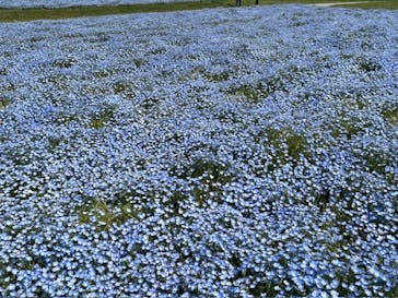 マリンワールド海の中道に投稿された画像（2025/4/30）