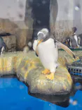 仙台うみの杜水族館に投稿された画像（2025/4/24）