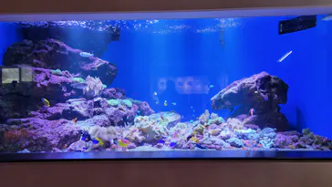 仙台うみの杜水族館に投稿された画像（2025/4/24）
