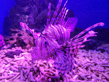 仙台うみの杜水族館に投稿された画像（2025/4/24）