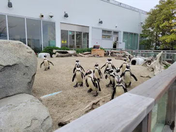 仙台うみの杜水族館に投稿された画像（2025/4/24）