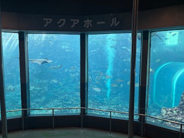 下田海中水族館に投稿された画像（2025/4/30）