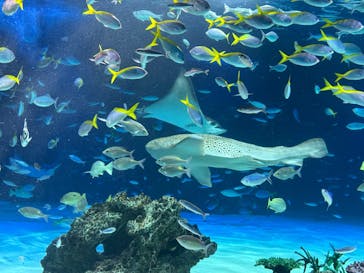 サンシャイン水族館に投稿された画像（2025/4/30）