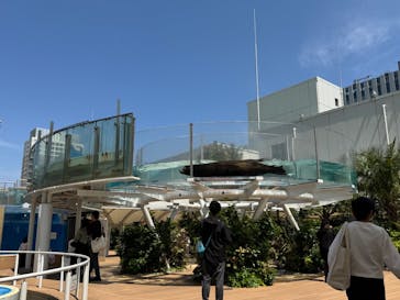 サンシャイン水族館に投稿された画像（2025/4/30）