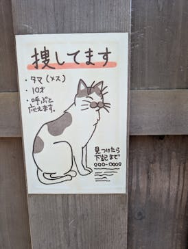 西武園ゆうえんちに投稿された画像（2025/4/30）