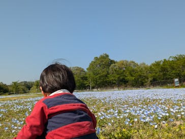 滋賀農業公園ブルーメの丘に投稿された画像（2025/4/30）