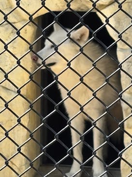 名古屋市東山動植物園に投稿された画像（2025/4/30）