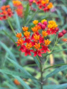 名古屋市東山動植物園に投稿された画像（2025/4/30）