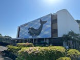 太地町立くじらの博物館に投稿された画像（2025/4/30）