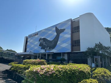 太地町立くじらの博物館に投稿された画像（2025/4/30）