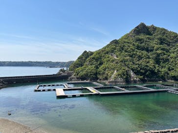 太地町立くじらの博物館に投稿された画像（2025/4/30）